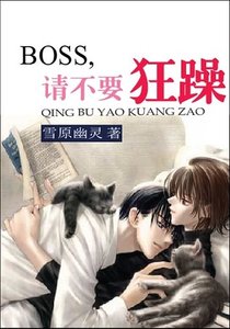 BOSS,请不要狂躁