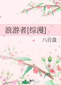 浪遊者[綜漫]